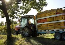 Трактори 4WD SAME Frutteto³ S 90.3 DT