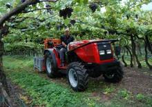Трактори 4WD Massey Ferguson MF 3435-4 GE