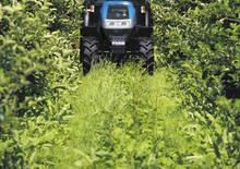 Трактори 4WD Landini Rex 90V