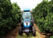 Трактори з заднім приводом Landini 75F Techno