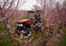 Трактори з заднім приводом Case IH Farmall 100N