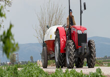 Трактори з заднім приводом Massey Ferguson MF 2615