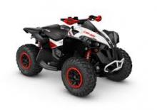 Всюдиходи і квадроцикли can-am RENEGADE 570
