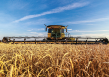 жатка комбайна New Holland 840CD Rigid Draper