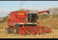 Зерновий комбайн Massey Ferguson 8560 Rotary