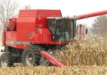 Зерновий комбайн Massey Ferguson 8780 Rotary
