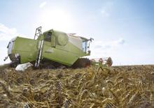 Зерновий комбайн Claas Avero 240