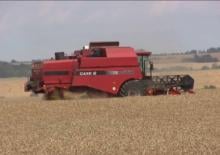 Зерновий комбайн Case IH CT 5080