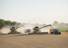 Зерновий комбайн New Holland CX 8090 Elevation
