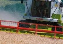 Зерновий комбайн Claas Medion 310