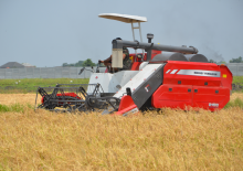 Зерновий комбайн Massey Ferguson MF 2168