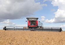 Зерновий комбайн Massey Ferguson MF 9695